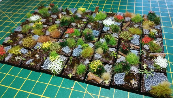 IMG_20200322_142541.jpg IMG_20200322_142541.jpg