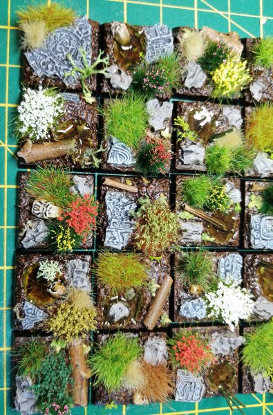 IMG_20200322_142658.jpg IMG_20200322_142658.jpg