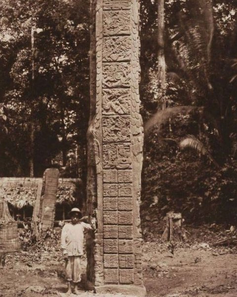 maudslay quirigua.jpg maudslay quirigua.jpg