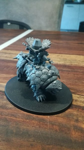 IMG_20200327_070422.jpg IMG_20200327_070422.jpg