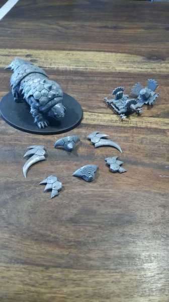 IMG_20200327_070543.jpg IMG_20200327_070543.jpg