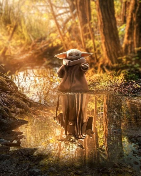 90988713_3247417518623288_472397173644853248_n.jpg 90988713_3247417518623288_472397173644853248_n.jpg