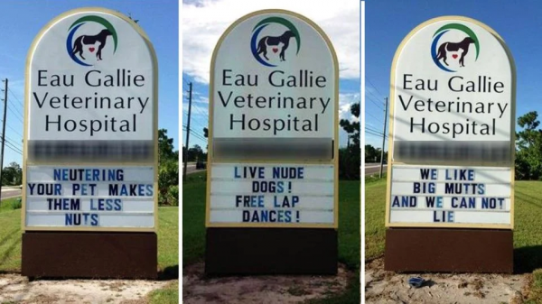 best-of-funny-vet-signs-HERO-960x540.png
