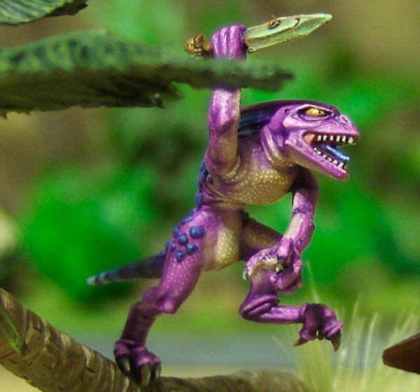 SkinkClose-up.jpg SkinkClose-up.jpg