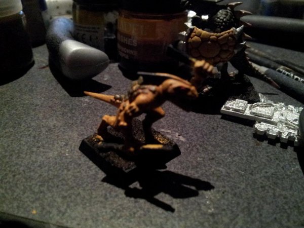 SkinkTest1.jpg SkinkTest1.jpg