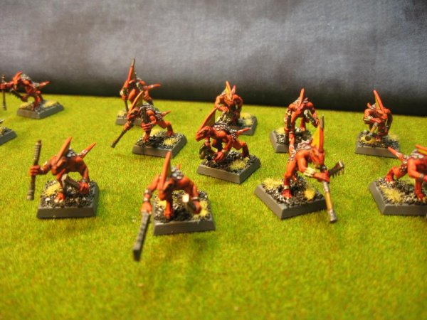 skinks002.jpg