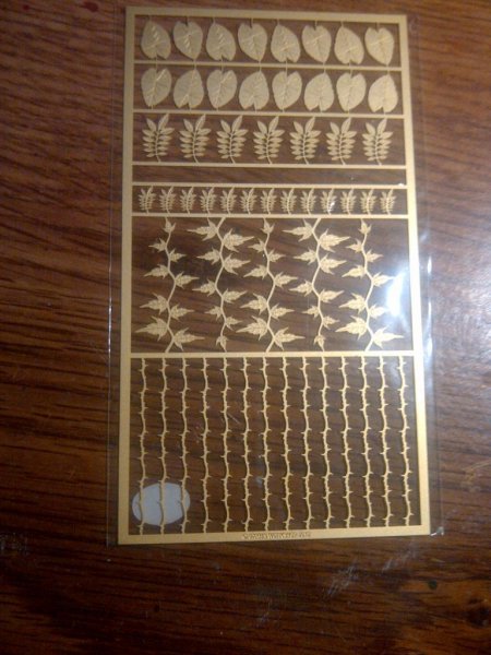 IMG-20121229-00195_zpsa824ce64.jpg IMG-20121229-00195_zpsa824ce64.jpg