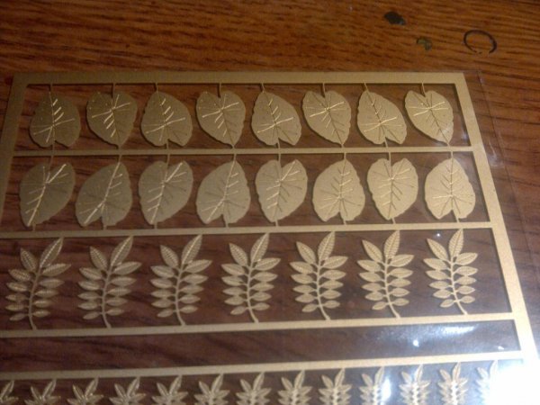 IMG-20121229-00194_zps6ead20d2.jpg IMG-20121229-00194_zps6ead20d2.jpg