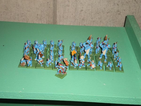 blueSkinks_zpse854519e.jpg blueSkinks_zpse854519e.jpg