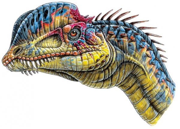 Dilophosaurus_zps88f6805f.jpg