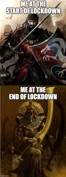 Lockdown meme.jpg Lockdown meme.jpg