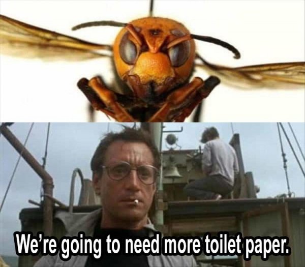 we-need-more-toilet-paper.jpg