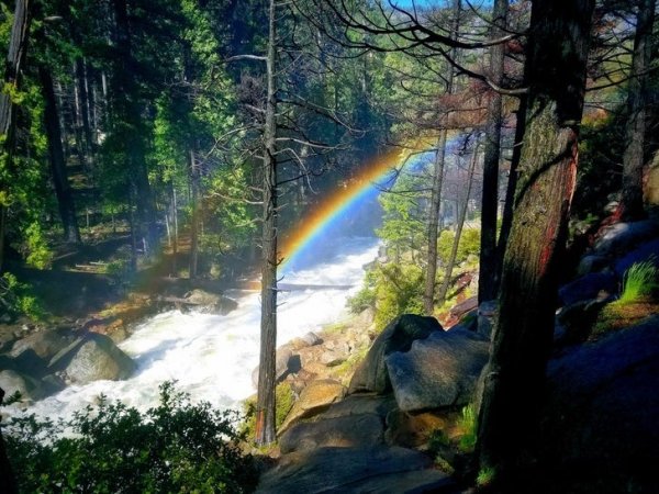 b29ba59fb26710ed541066c0fb282880b07c4126.jpg b29ba59fb26710ed541066c0fb282880b07c4126.jpg