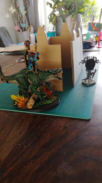 IMG_20200517_114313.jpg IMG_20200517_114313.jpg