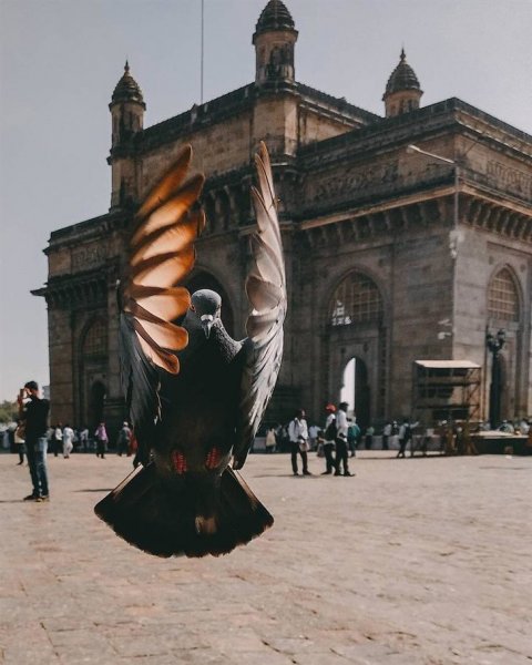 247126a6ecb7e141e5fa2d4f2e92853100827de2.jpg 247126a6ecb7e141e5fa2d4f2e92853100827de2.jpg