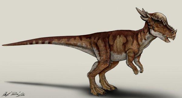 jurassic_world_fallen_kingdom_stygimoloch__stiggy__by_nikorex_dcoxc4m-fullview.jpg