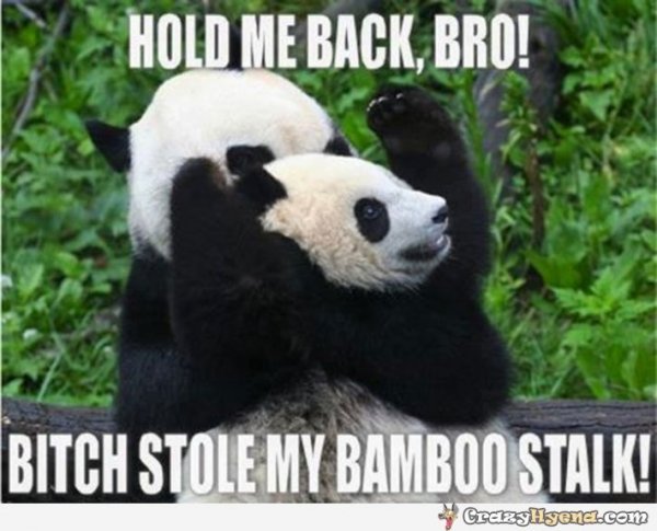 2099616991-angry-baby-panda-funny.jpg