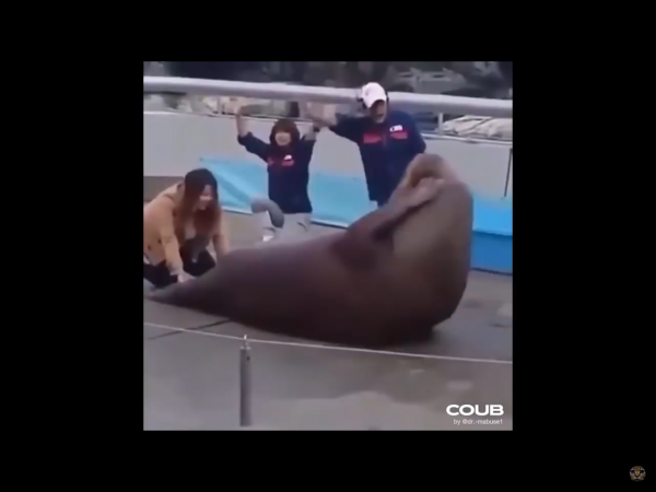 image0.png image0.png