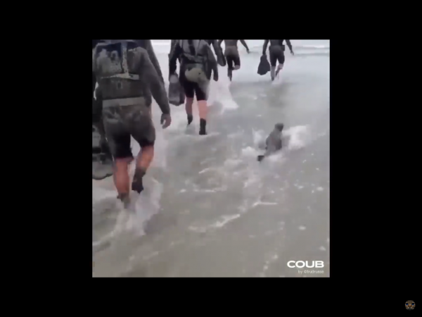 image2 (4).png image2 (4).png