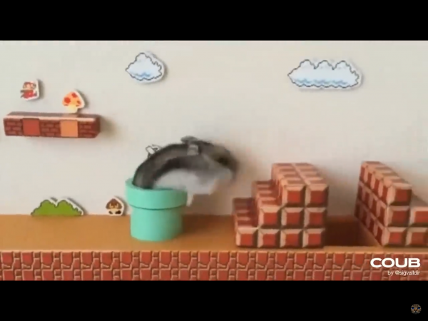 image2 (6).png image2 (6).png