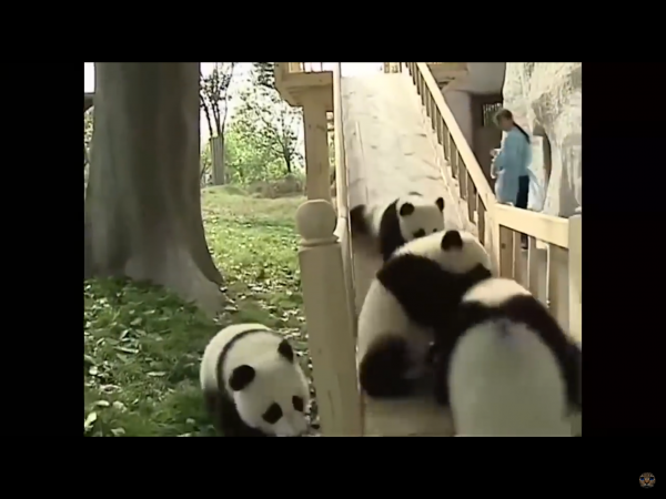 image3 (3).png image3 (3).png