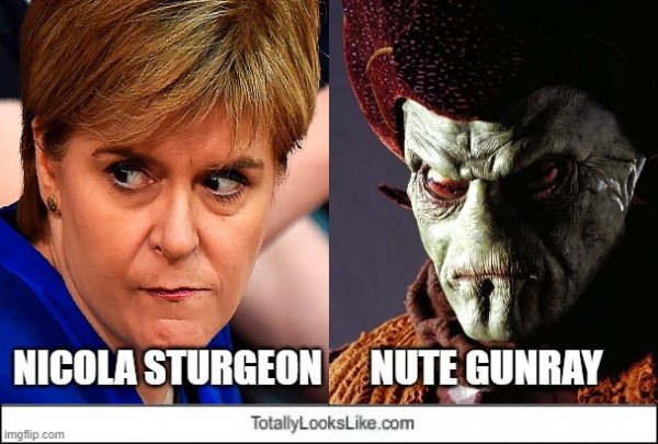 Nicola Sturgeon Lookalike Meme.jpg