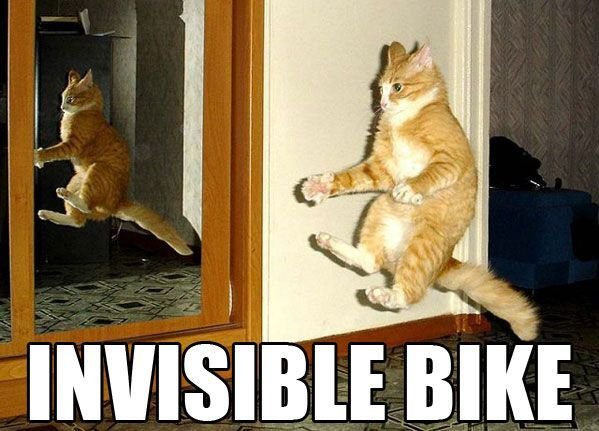 invisible-bike-cat.jpg