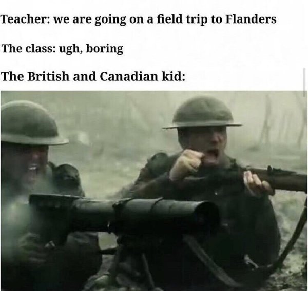 flanders fields.jpg