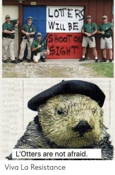 L'otters.jpg