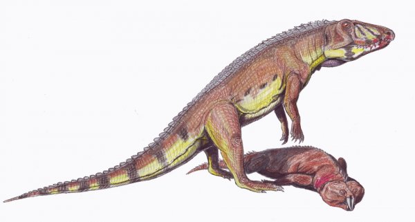 Ornithosuchus.jpg