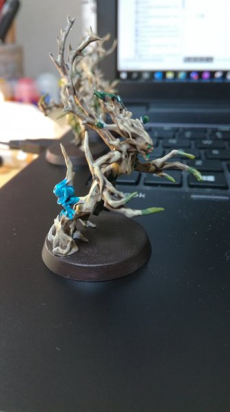 IMG_20200618_141649.jpg IMG_20200618_141649.jpg