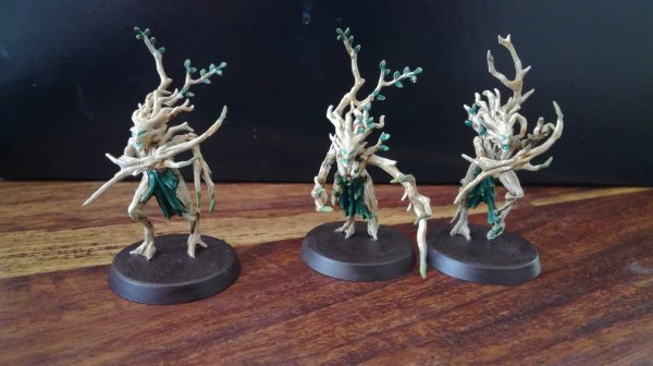 IMG_20200619_144332.jpg IMG_20200619_144332.jpg