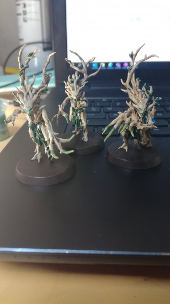 IMG_20200622_144623.jpg IMG_20200622_144623.jpg