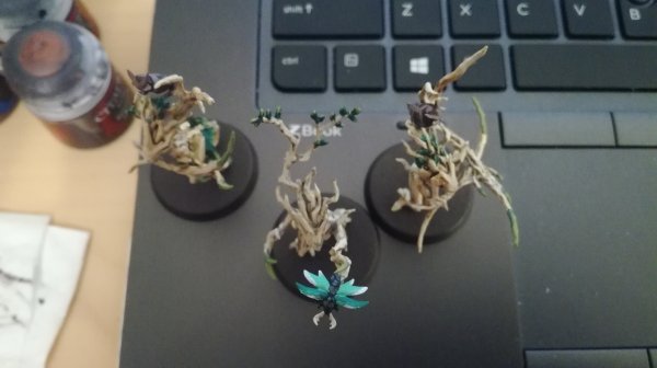 IMG_20200623_204742.jpg IMG_20200623_204742.jpg