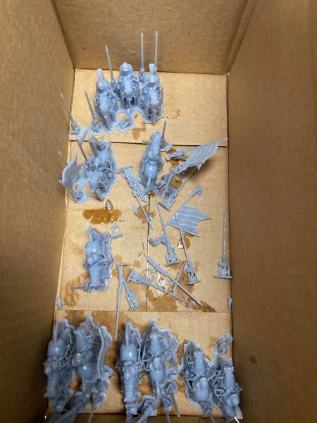 spanishcav4.jpg spanishcav4.jpg