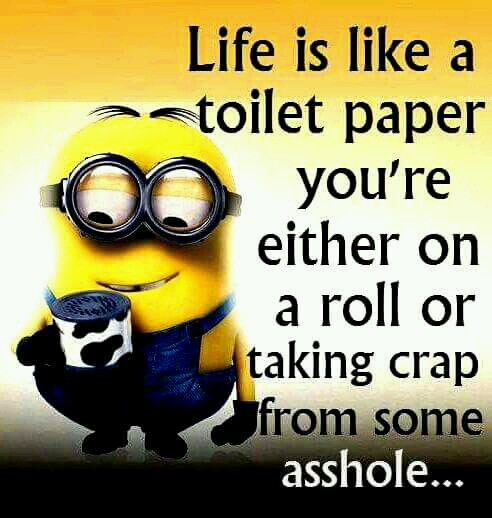 toilet paper.jpg