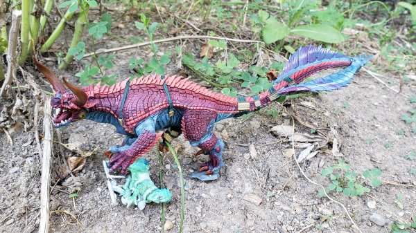 20200709_181629.jpg 20200709_181629.jpg