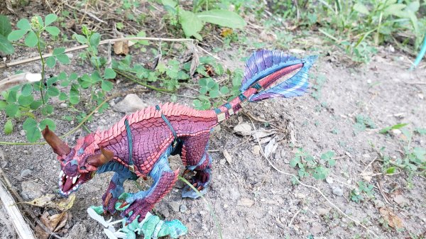 20200709_181633.jpg 20200709_181633.jpg