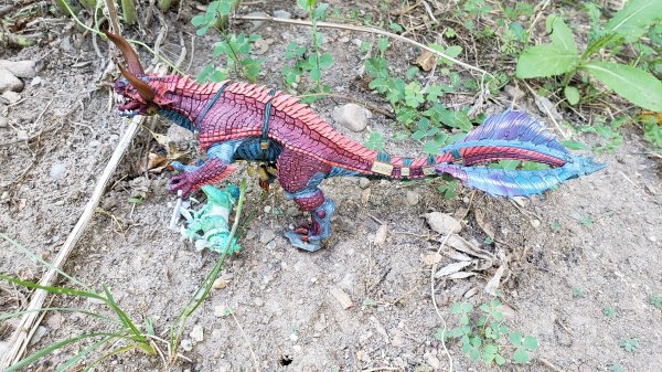 20200709_181649.jpg 20200709_181649.jpg