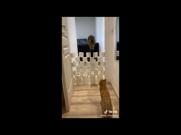 image0.png image0.png