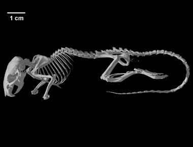 87113E0D-AF40-4F22-B030-D4DDB9E46BF2.jpeg 87113E0D-AF40-4F22-B030-D4DDB9E46BF2.jpeg