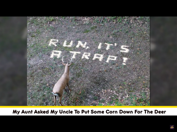 IMG_2026.PNG IMG_2026.PNG