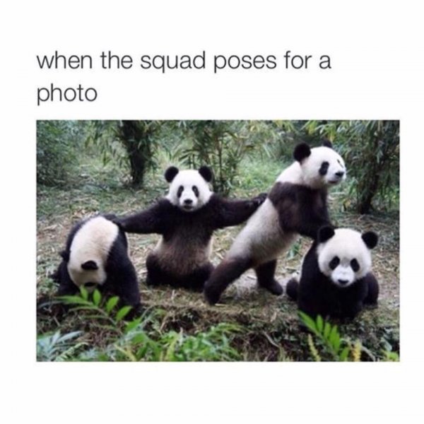 14332946_1781641135411680_7557309468244042688_n.jpg 14332946_1781641135411680_7557309468244042688_n.jpg