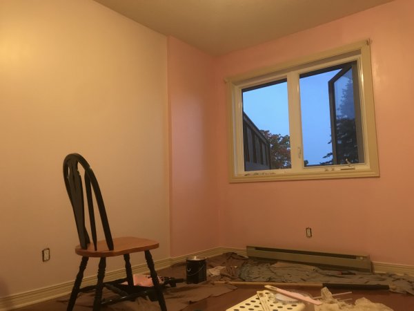 3274CAA0-DA07-4E1D-A670-BB19F9F13078.jpeg