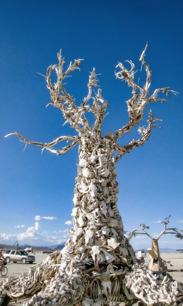 120635300_204835514351378_1720185373984580232_o.jpg 120635300_204835514351378_1720185373984580232_o.jpg