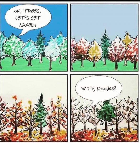 120532054_3232244973554510_159965198401976014_n.jpg 120532054_3232244973554510_159965198401976014_n.jpg