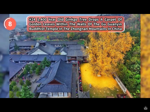 image23.png image23.png