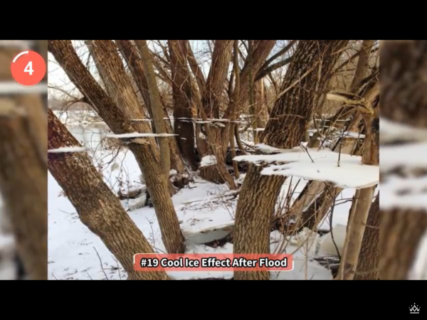 image24.png image24.png