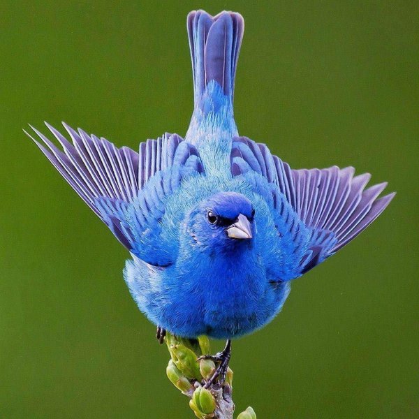 29186814_1730214190355218_6183463767511138304_n.jpg 29186814_1730214190355218_6183463767511138304_n.jpg