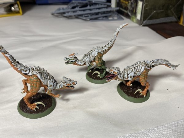 warden202010_raptors 01.jpg warden202010_raptors 01.jpg